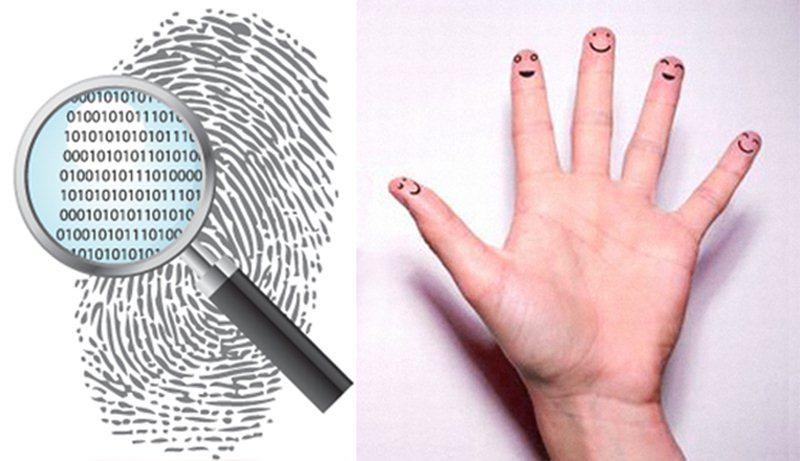 Đếm số hoa tay biết ngay phúc dày nhiều lộc hay phận mỏng bôn ba, về già mới phất