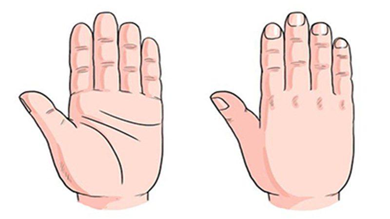 Đếm số hoa tay biết ngay phúc dày nhiều lộc hay phận mỏng bôn ba, về già mới phất