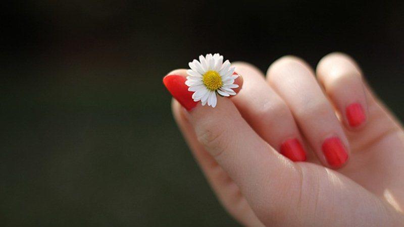 Đếm số hoa tay biết ngay phúc dày nhiều lộc hay phận mỏng bôn ba, về già mới phất