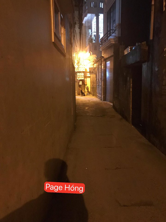 Tâm sự của một thanh niên sợ chó: Con trai sức dài vai rộng ngày nào cũng phải gọi bố ra đón vì sợ bị chó đuổi