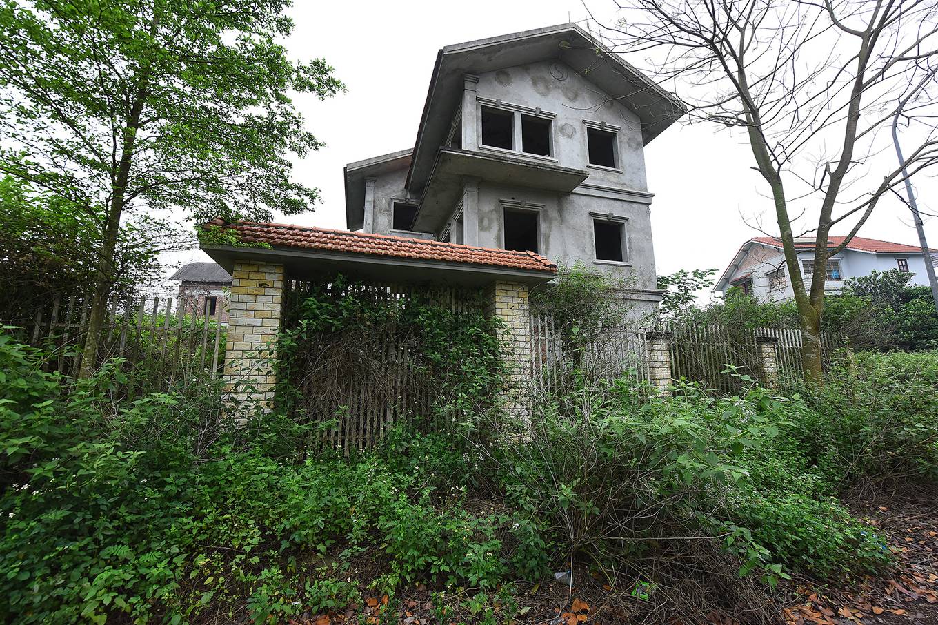 Cận cảnh dự án hơn 2.000 ha bị bỏ hoang một thập kỷ