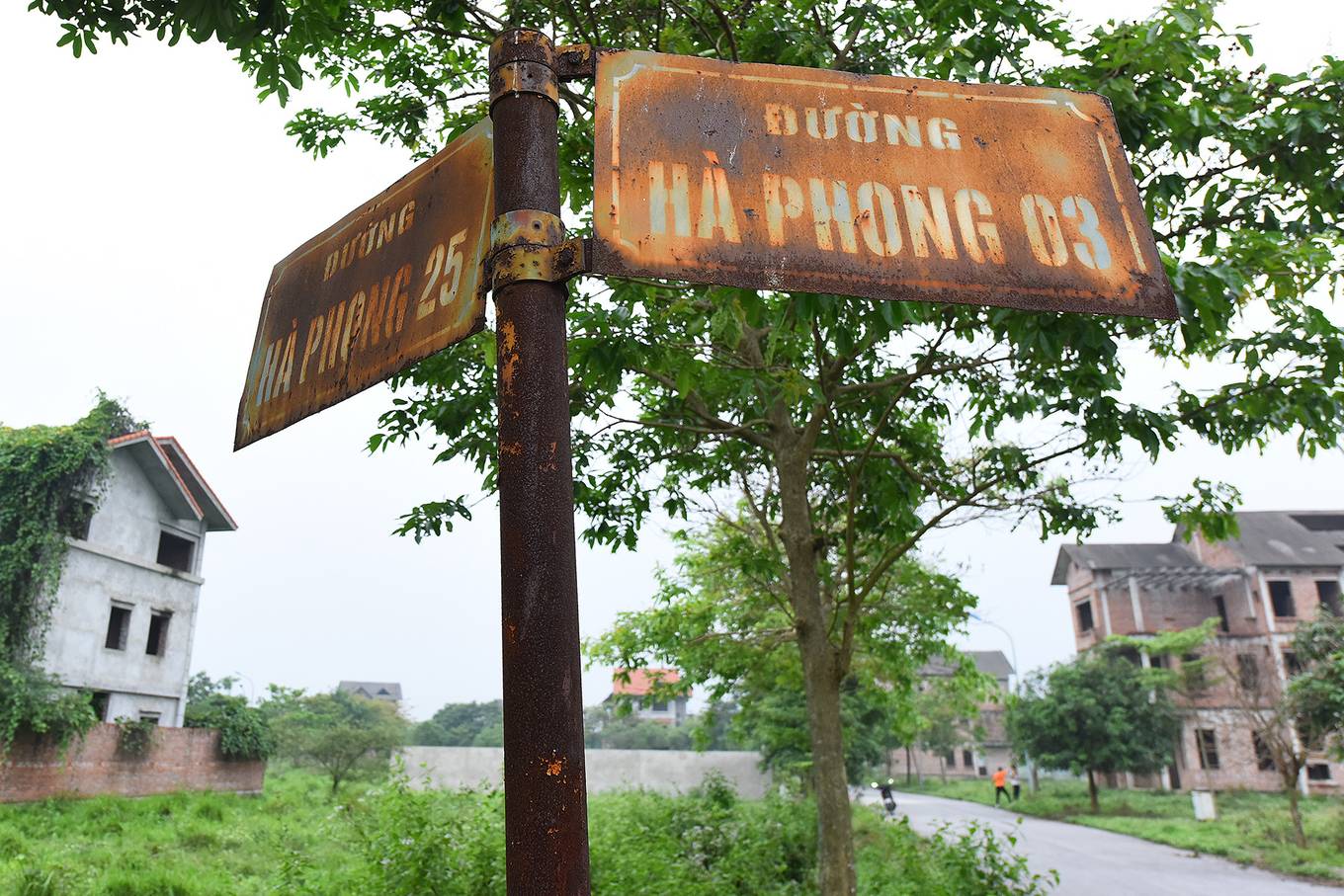 Cận cảnh dự án hơn 2.000 ha bị bỏ hoang một thập kỷ