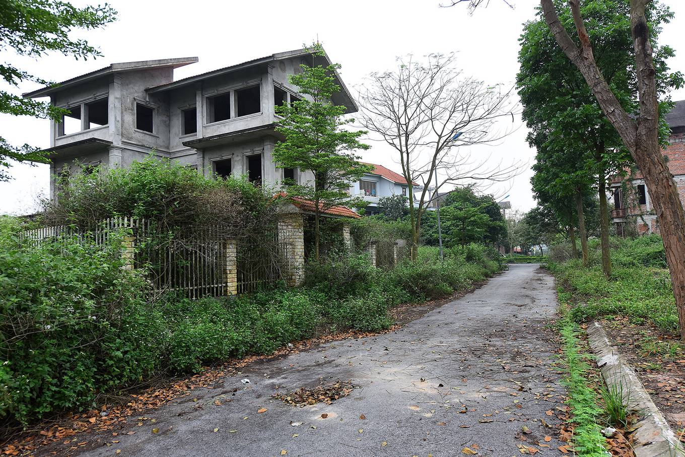 Cận cảnh dự án hơn 2.000 ha bị bỏ hoang một thập kỷ