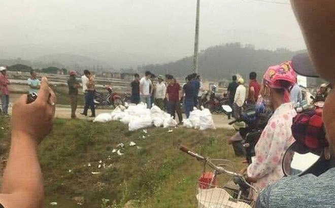 6 vụ ma túy khủng bị triệt phá từ đầu năm 2019