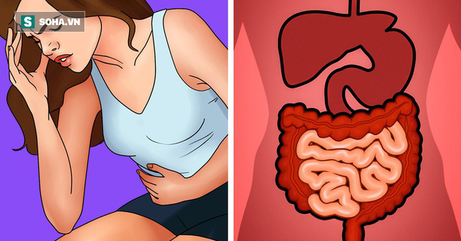 10 dấu hiệu cảnh báo cơ thể bị độc tố tấn công: Hãy nhanh thải độc ngay 10 dấu hiệu cảnh báo cơ thể bị độc tố tấn công: Hãy nhanh thải độc ngay