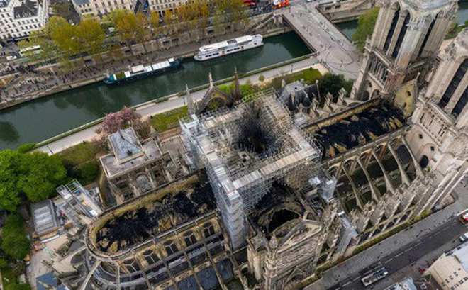 Nước Pháp không còn cây gỗ đủ cao để phục chế mái Nhà thờ Đức Bà