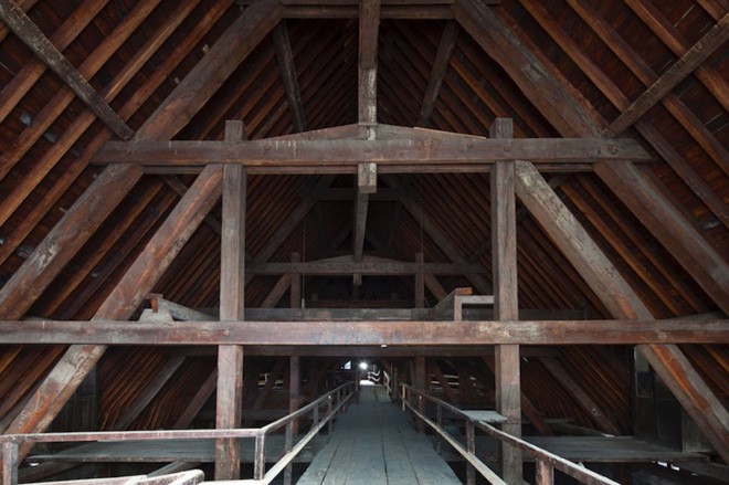 Nước Pháp không còn cây gỗ đủ cao để phục chế mái Nhà thờ Đức Bà