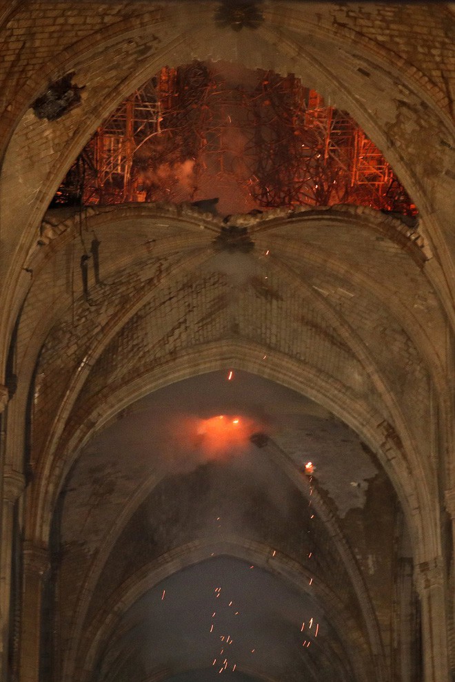 Nước Pháp không còn cây gỗ đủ cao để phục chế mái Nhà thờ Đức Bà