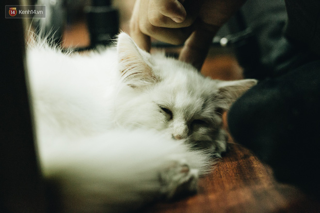 Chuyện tình đẹp mà xót xa của nữ họa sĩ trẻ Hà Nội: Vượt 700km đến với nhau, vừa kết hôn 2 tháng thì phát hiện ung thư