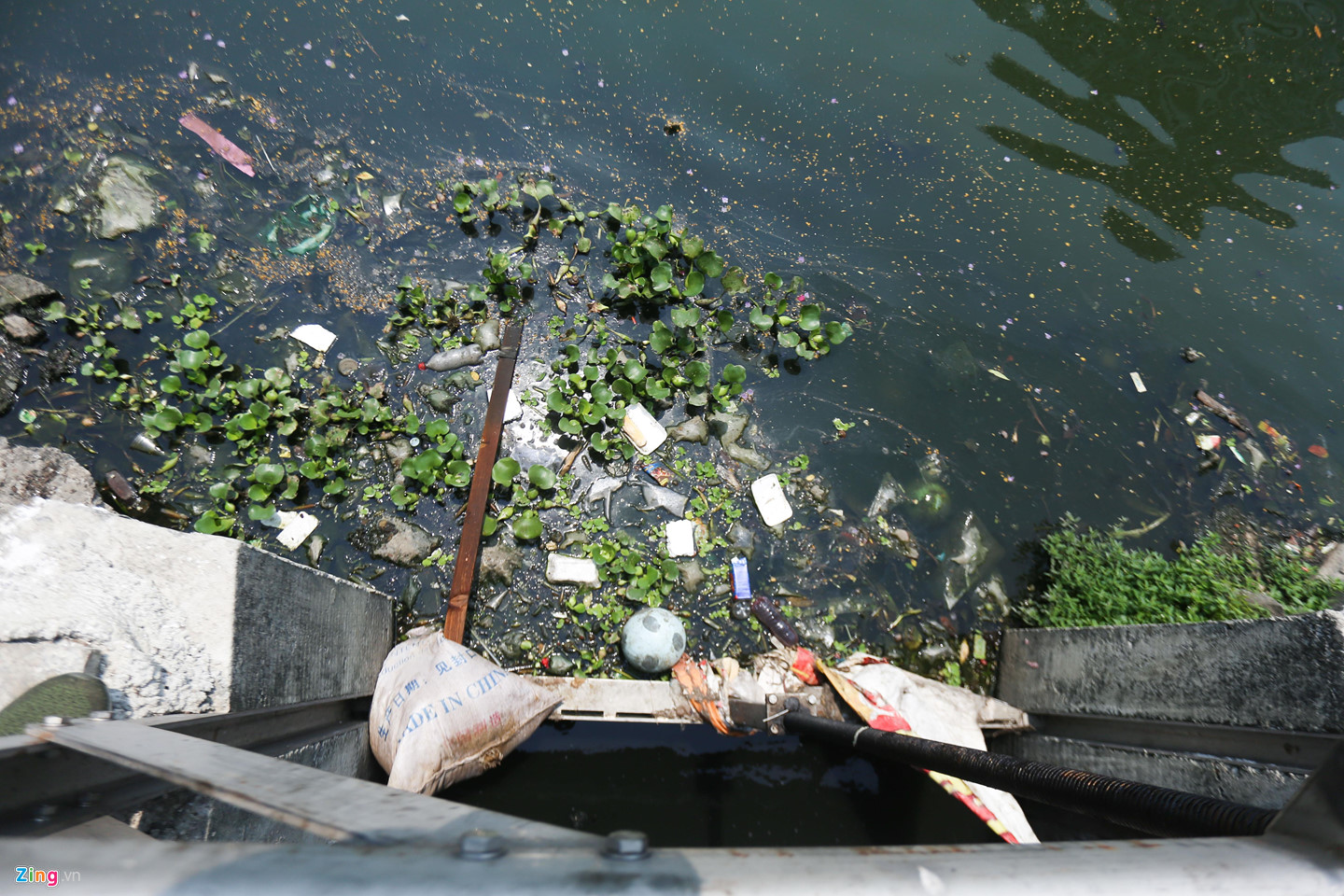 Nhếch nhác quanh lá phổi xanh giữa lòng Đà Nẵng