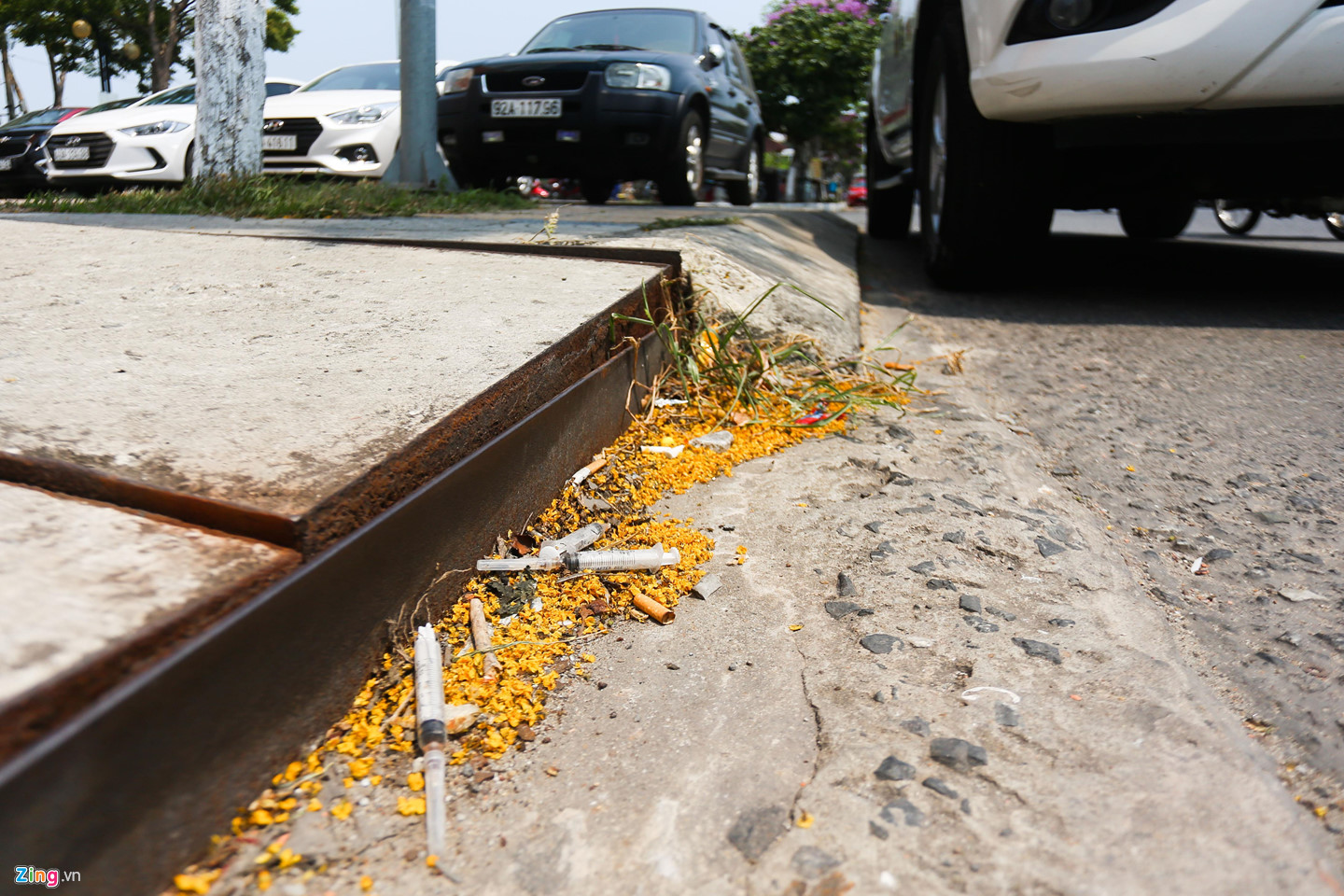 Nhếch nhác quanh lá phổi xanh giữa lòng Đà Nẵng