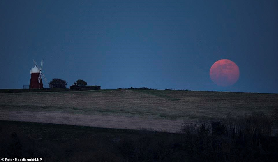 Cận cảnh Trăng hồng trên khắp thế giới