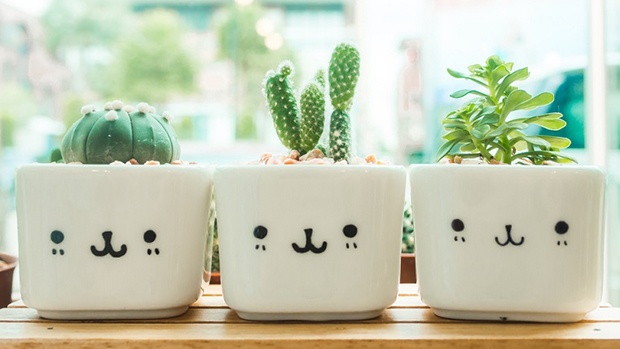 Tử vi 12 con giáp hôm nay (21/4/2019): Hợi vượng duyên vượng tài, Mão đề phòng tiểu nhân