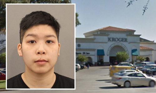 Người phụ nữ Mỹ gốc Việt gây chết người vì rượt đuổi tài xế xe máy