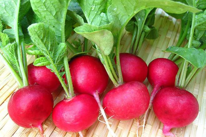 Muốn loại bỏ sỏi thận triệt để: Quan trọng nhất là giữ mồm giữ miệng trước những món này Muốn loại bỏ sỏi thận triệt để: Quan trọng nhất là giữ mồm giữ miệng trước những món này