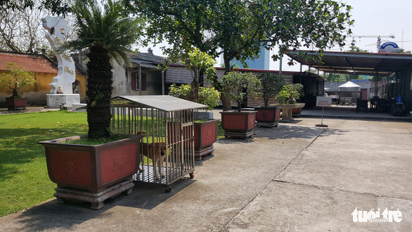 Sư trụ trì cầm ly bia nói về việc thả chó cắn nát mặt Phật tử