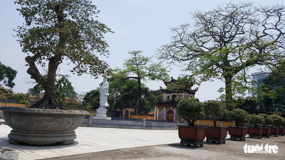 Sư trụ trì cầm ly bia nói về việc thả chó cắn nát mặt Phật tử