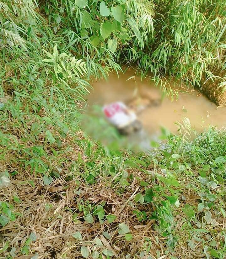 Lào Cai: Hoảng hồn phát hiện thi thể trong tư thế úp mặt dưới mương nước cạn