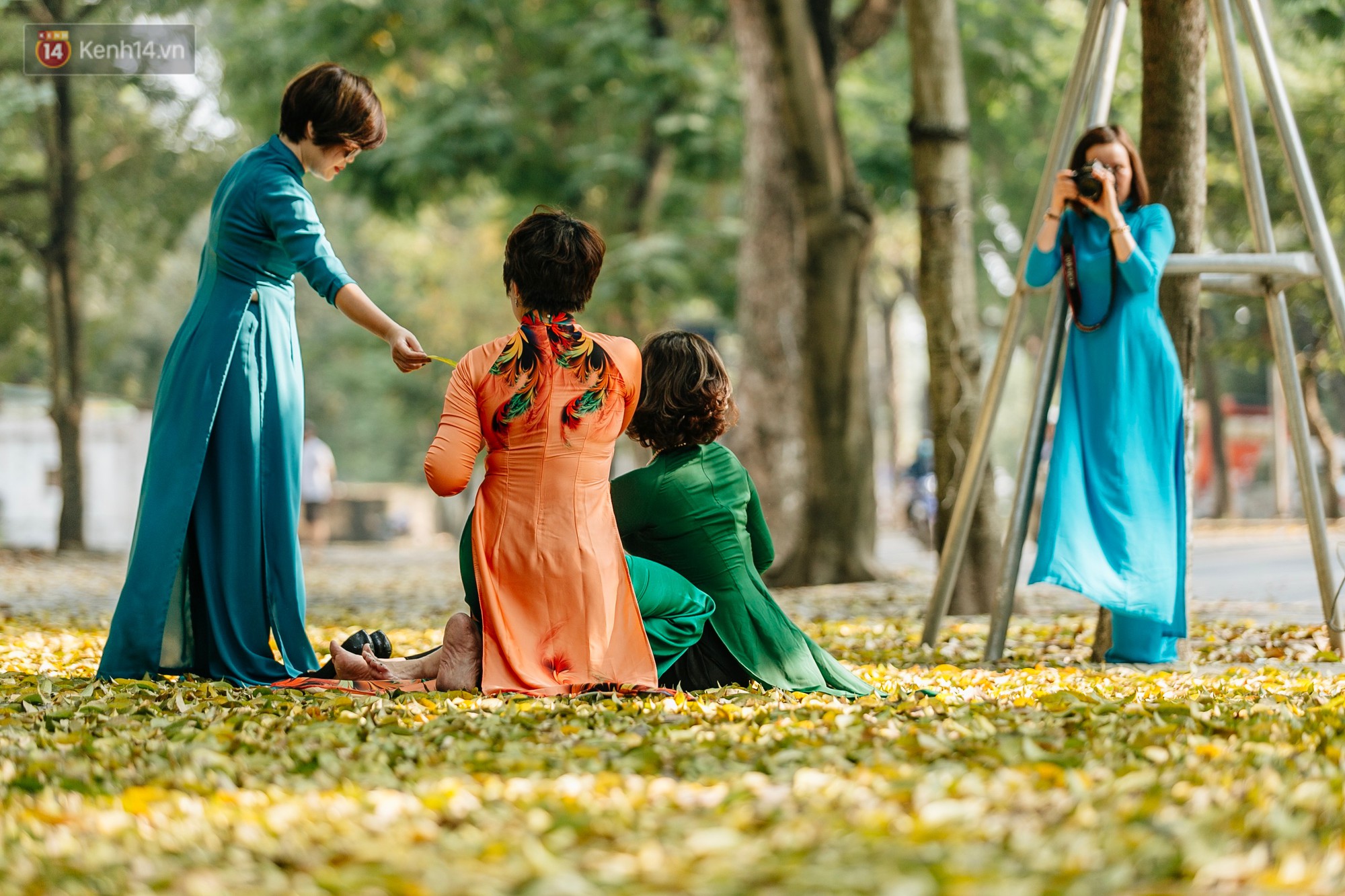 Video ảnh: Mùa lá sấu tung bay, người dân kéo tới chụp ảnh ở con đường lãng mạn nhất Thủ đô dù nắng nóng 40 độ C