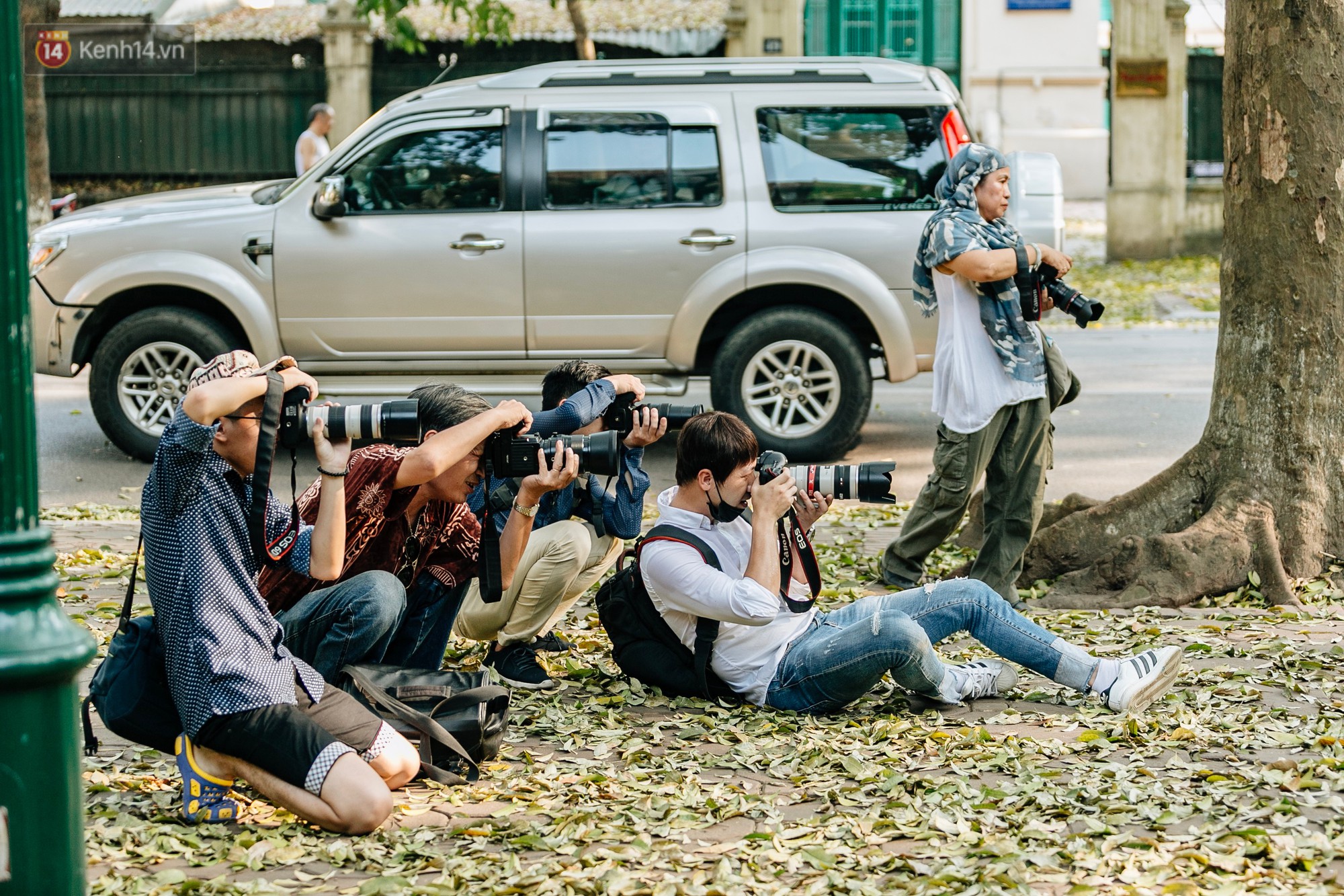Video ảnh: Mùa lá sấu tung bay, người dân kéo tới chụp ảnh ở con đường lãng mạn nhất Thủ đô dù nắng nóng 40 độ C