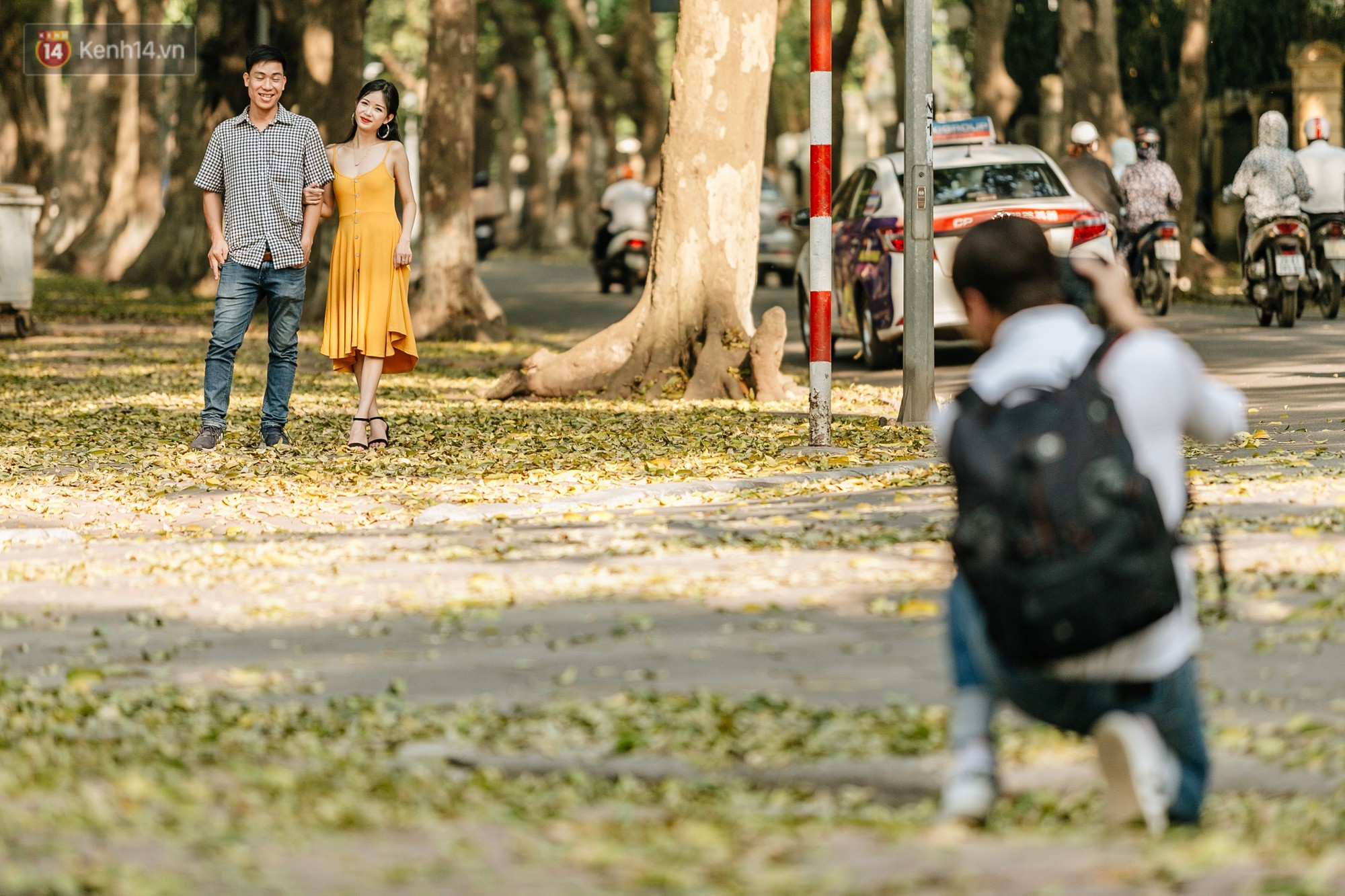 Video ảnh: Mùa lá sấu tung bay, người dân kéo tới chụp ảnh ở con đường lãng mạn nhất Thủ đô dù nắng nóng 40 độ C