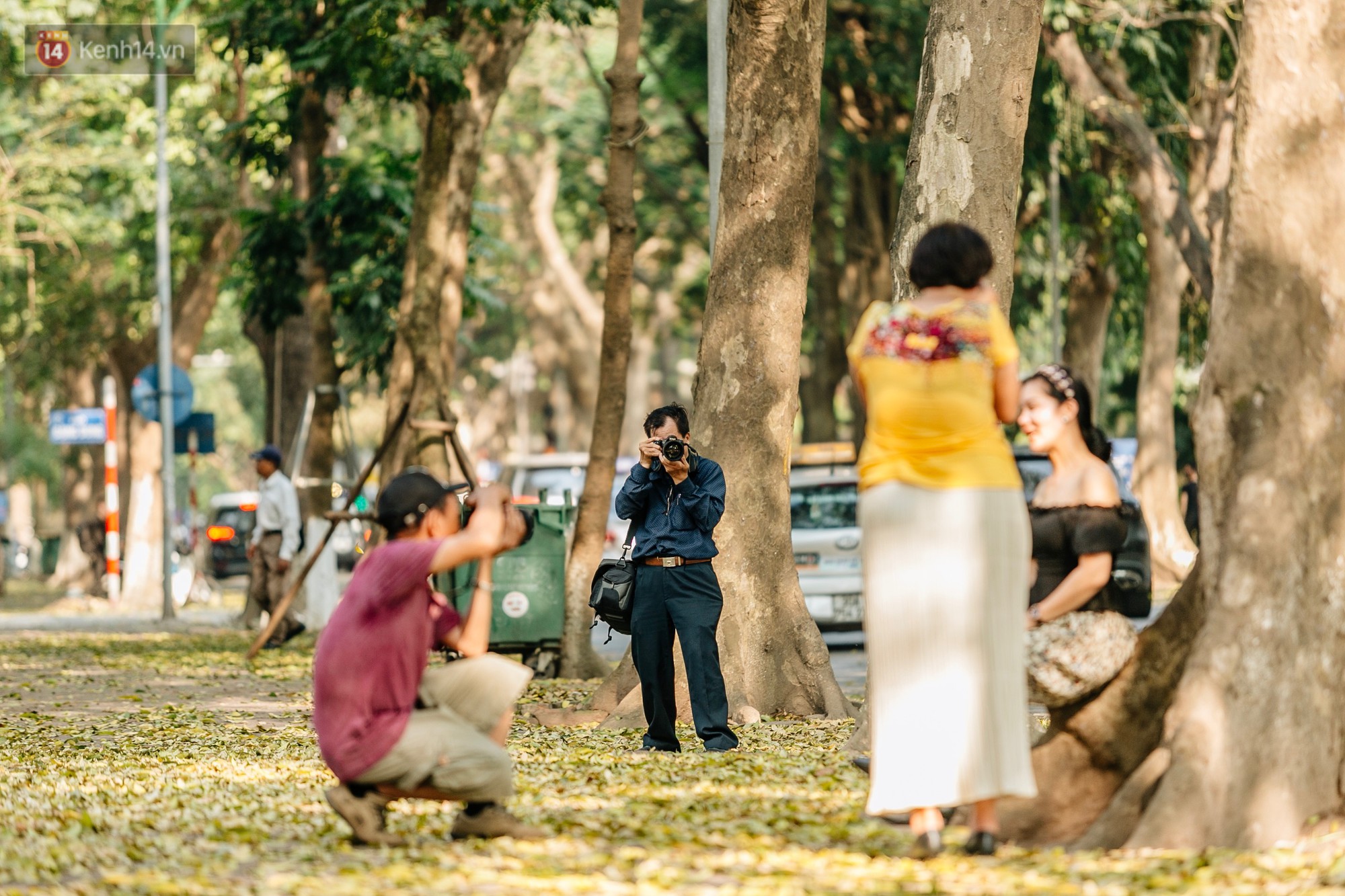 Video ảnh: Mùa lá sấu tung bay, người dân kéo tới chụp ảnh ở con đường lãng mạn nhất Thủ đô dù nắng nóng 40 độ C