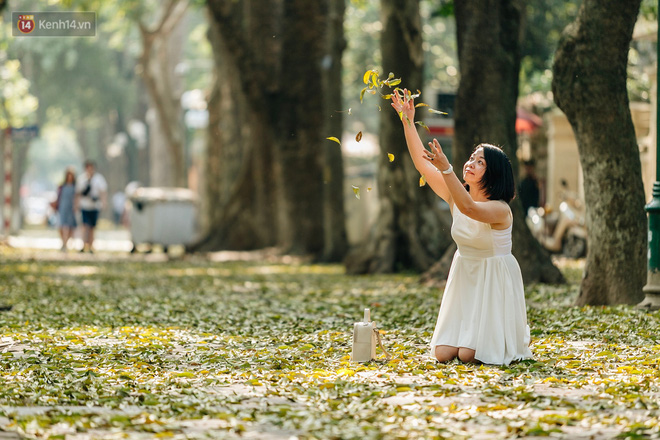 Video ảnh: Mùa lá sấu tung bay, người dân kéo tới chụp ảnh ở con đường lãng mạn nhất Thủ đô dù nắng nóng 40 độ C Video ảnh: Mùa lá sấu tung bay, người dân kéo tới chụp ảnh ở con đường lãng mạn nhất Thủ đô dù nắng nóng 40 độ C