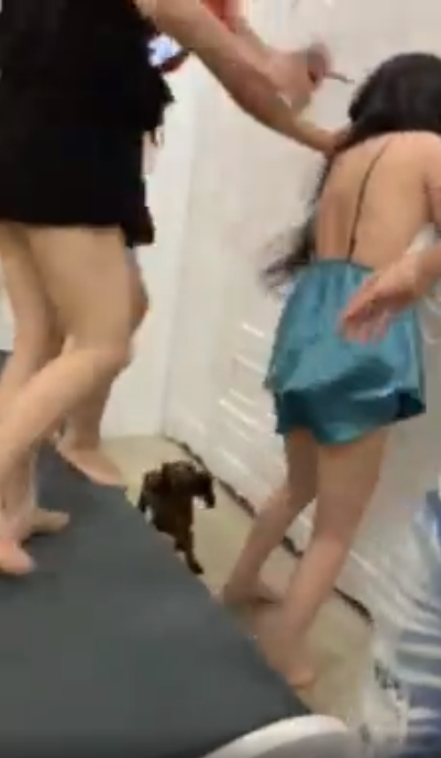 Lại thêm vụ ĐÁNH GHEN gay cấn như PHIM HÀNH ĐỘNG, chồng kéo lê vợ về nhà để bảo vệ bồ nhí