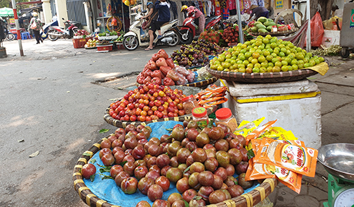 300.000 đồng một kg mận đầu mùa