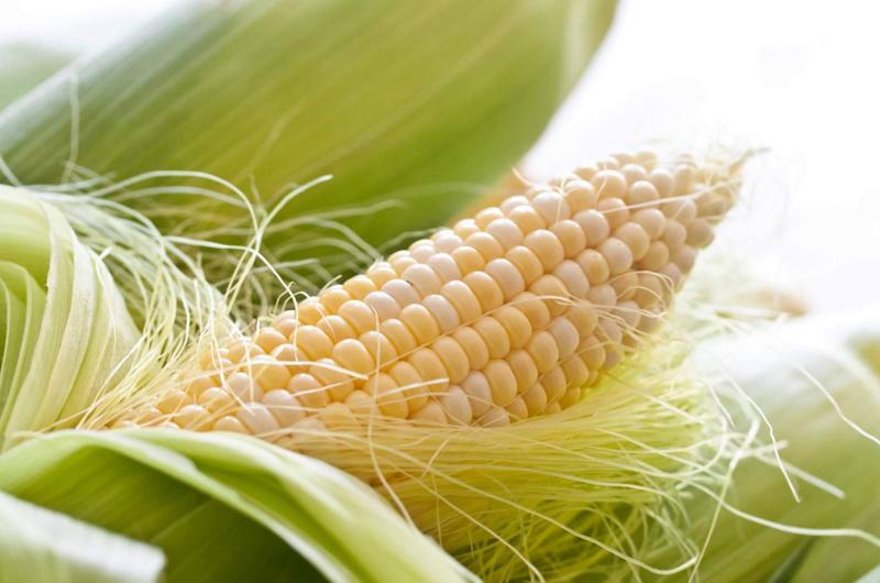 8 loại nước giải nhiệt cơ thể tốt hơn uống nước lạnh hay dùng điều hòa