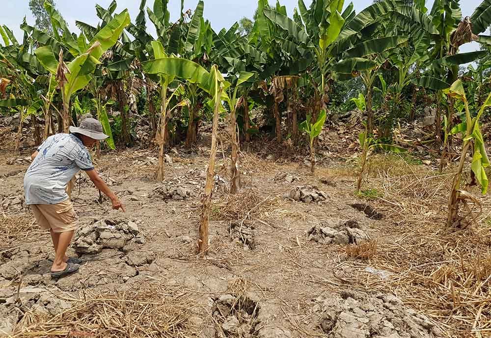 Lời khai của lão ông 74 tuổi sát hại hàng xóm, giấu xác dưới kênh