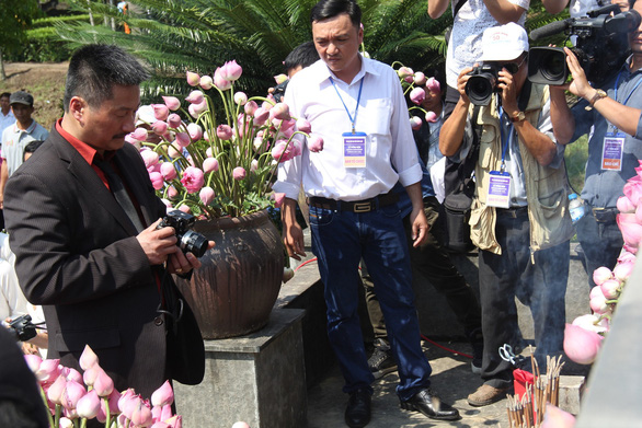 Anh che đạn cho em ở Mỹ Lai: Bức ảnh trở về với sự thật