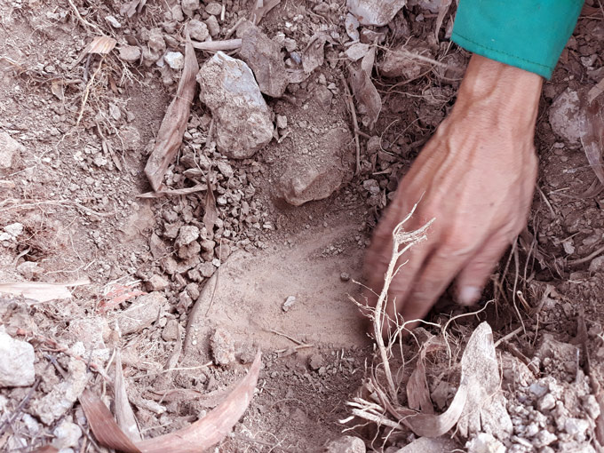 Ám ảnh chuyện người chôn hàng trăm xác thai nhi ở nhà máy rác