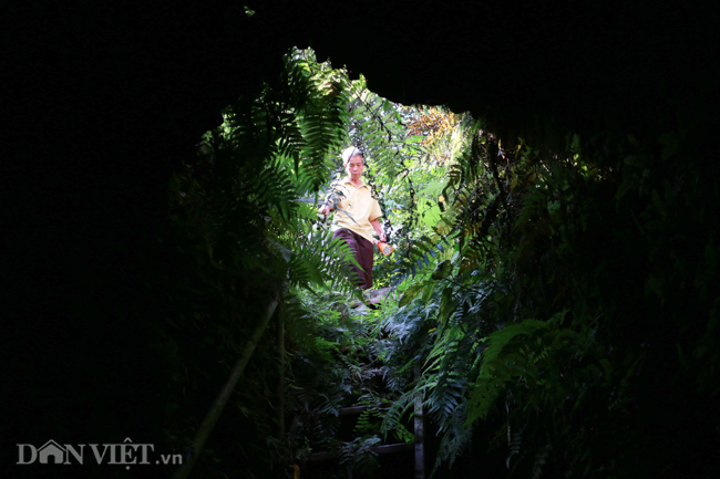 Khám phá hang ngầm dưới đình cổ giáp hồ Tây