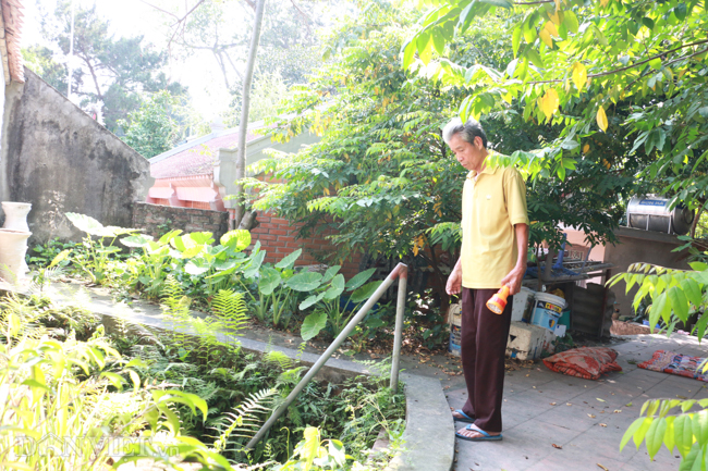 Khám phá hang ngầm dưới đình cổ giáp hồ Tây