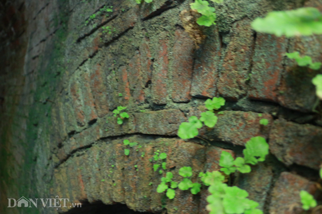 Khám phá hang ngầm dưới đình cổ giáp hồ Tây