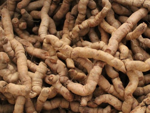 Dược thiện có ba kích giúp tráng dương