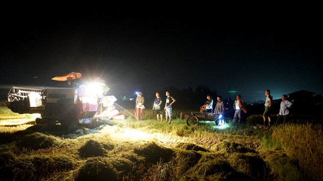 Nắng nóng lên đến 43,4 độ C, phá vỡ mọi kỷ lục trong lịch sử