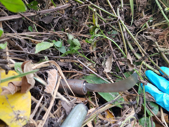 Nghi phạm giết 3 mẹ con, bà cháu ở Bình Dương nghiện ma túy