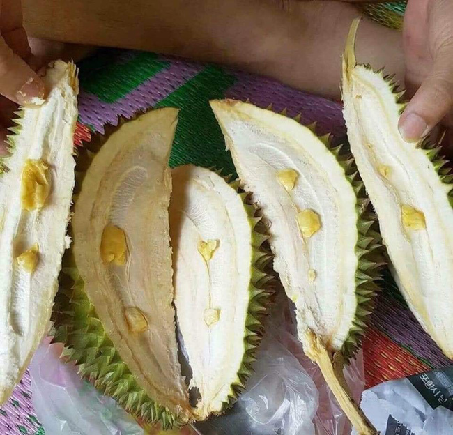 Tin lời quảng cáo hạt lép là lỗi của khách, nhưng sầu riêng tiêu biến luôn cả múi thì ắt hẳn là lỗi của người bán