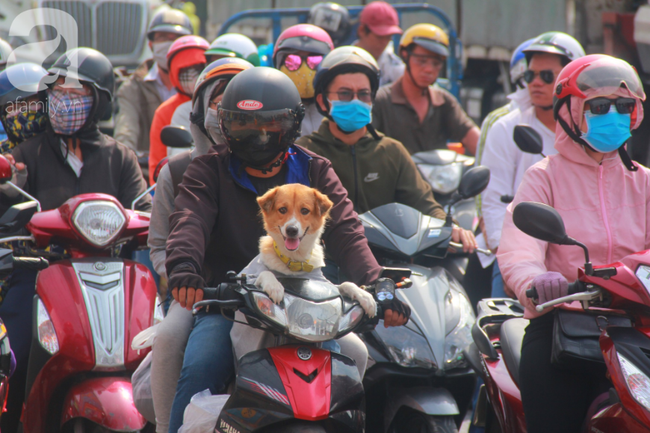 TP.HCM: Cửa ngõ phía Tây kẹt cứng, giao thông hỗn loạn vì người dân về quê nghỉ lễ 30/4 - 1/5