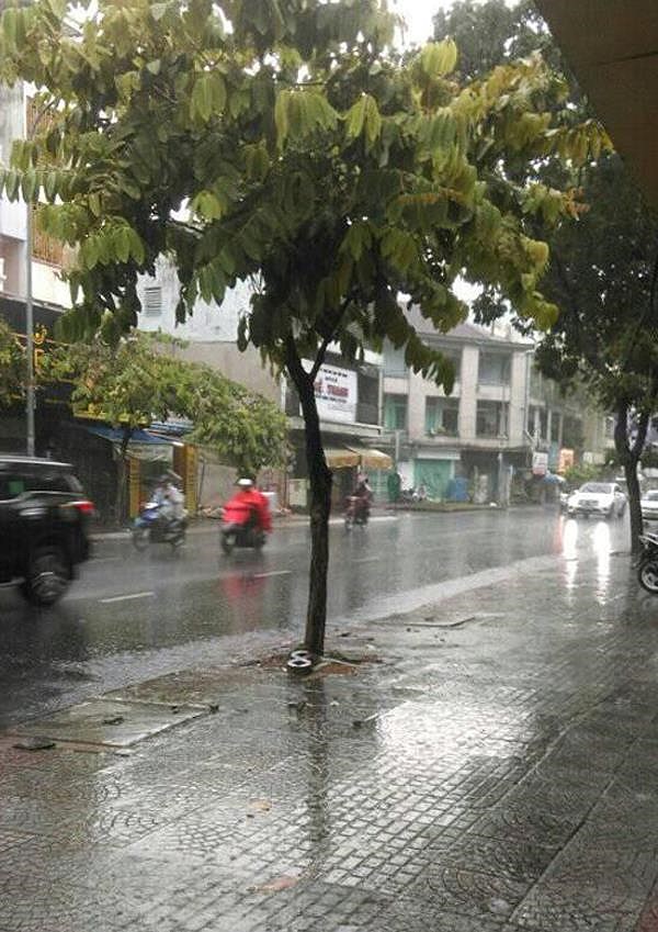 Dân Sài Gòn đón mưa ‘vàng’ giải nhiệt Dân Sài Gòn đón mưa ‘vàng’ giải nhiệt