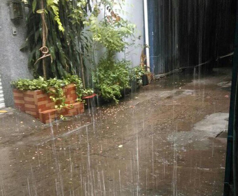 Dân Sài Gòn đón mưa ‘vàng’ giải nhiệt