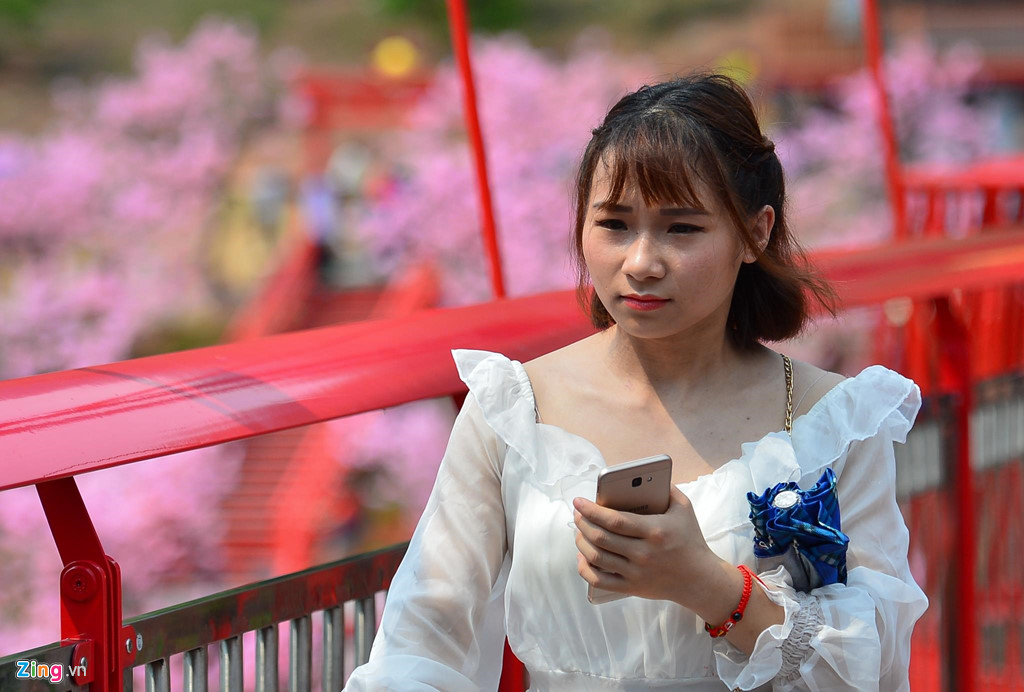 Cầu kính 5D Mộc Châu gây thất vọng khi vừa khánh thành