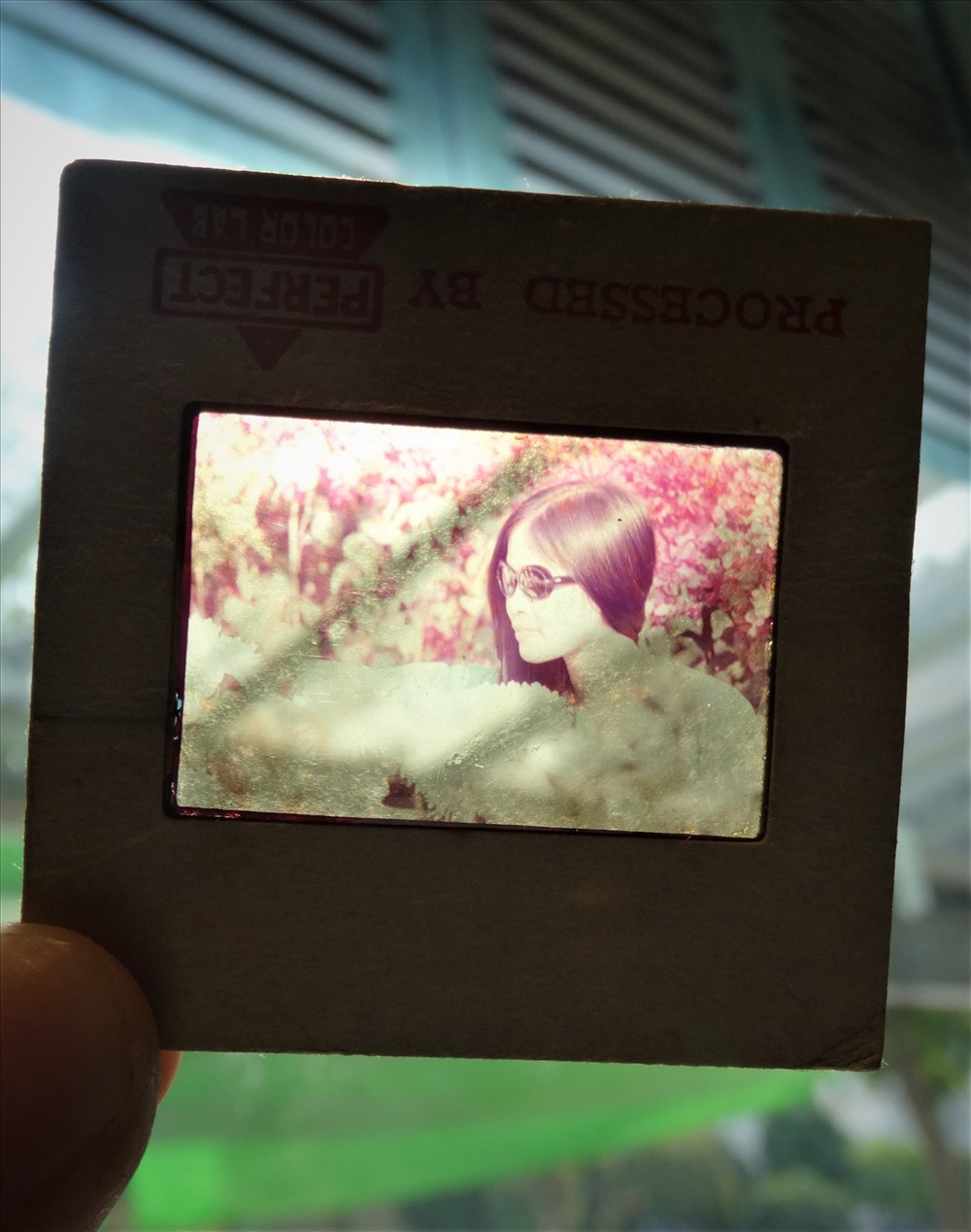 Nhìn lại những bảo vật trong đời sống của người Sài Gòn