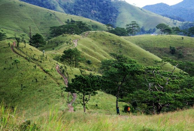 Thêm một phượt thủ tử nạn trên cung đường Tà Năng-Phan Dũng