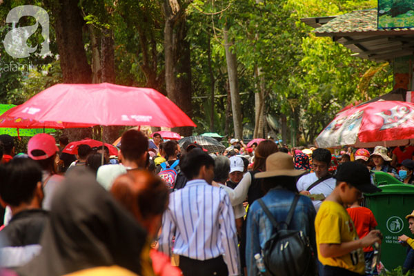 Ảnh: Thảo Cầm Viên vỡ trận, trẻ nhỏ gào khóc, ngồi gặm bánh mì chen chúc nhau giữa trời nắng 40 độ