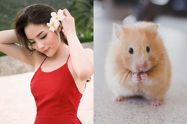 3 con giáp vượng vận quý nhân, gặp dữ hóa lành, thành công rực rỡ nhất tháng 5/2019