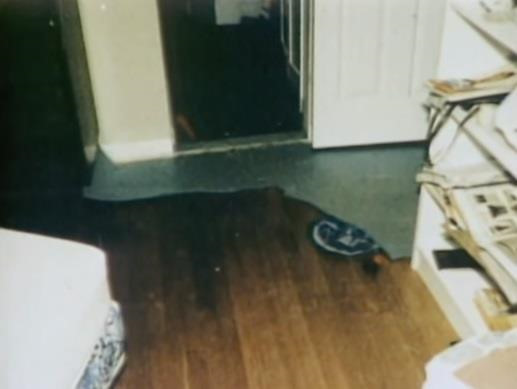 Chồng ngoại tình giết vợ rồi dùng máy nghiền gỗ phi tang xác