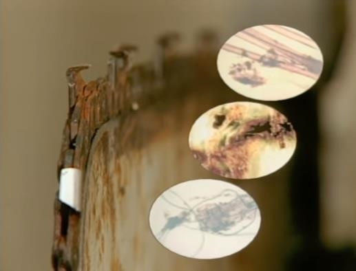 Chồng ngoại tình giết vợ rồi dùng máy nghiền gỗ phi tang xác